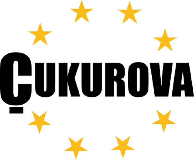 C17C91 CUKUROVA Фільтр гідравлічний, оригінал